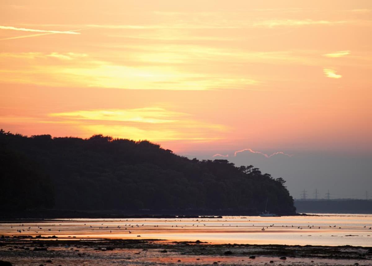 فندق Woodside Coastal Retreat Fishbourne  المظهر الخارجي الصورة